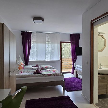 La Casa Suciu Apartment Forchtenberg Ngoại thất bức ảnh