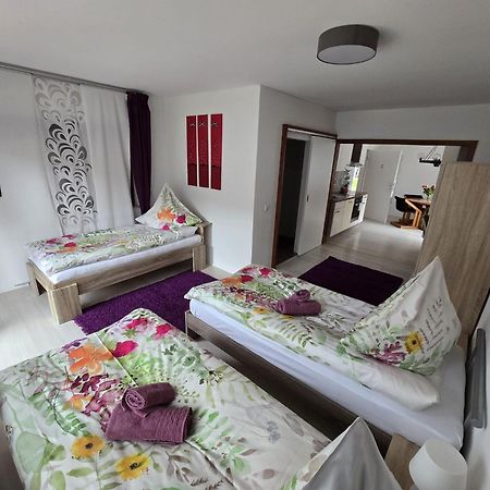 La Casa Suciu Apartment Forchtenberg Ngoại thất bức ảnh