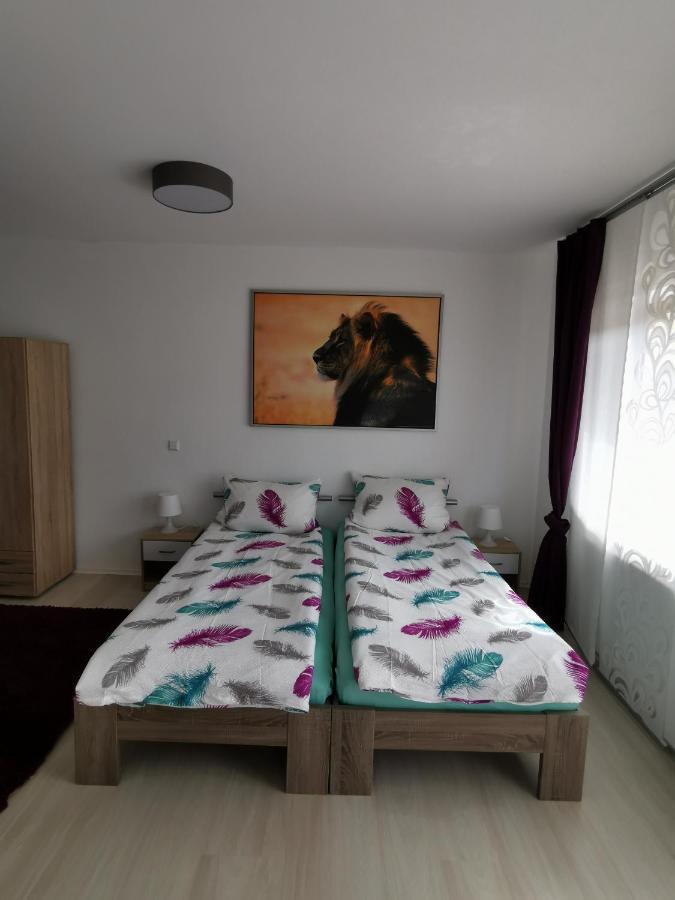 La Casa Suciu Apartment Forchtenberg Ngoại thất bức ảnh